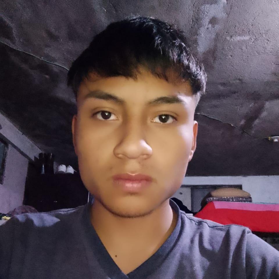 User Image