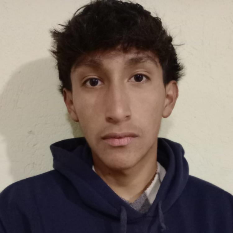 User Image