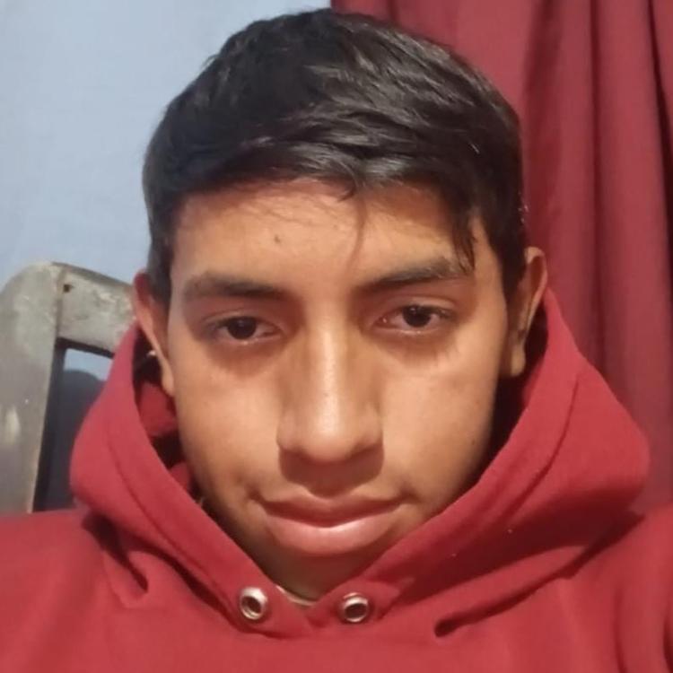 User Image