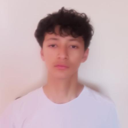 User Image